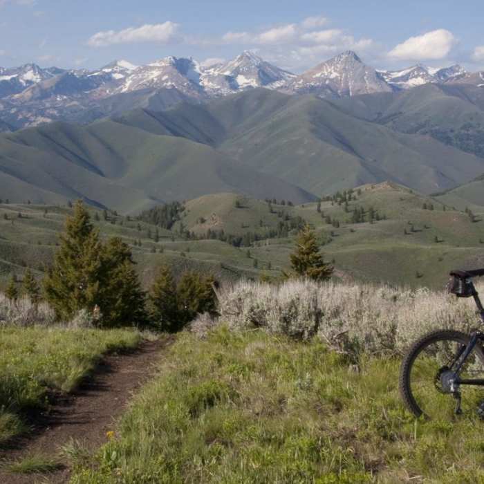 Near Driveway Gulch Hike