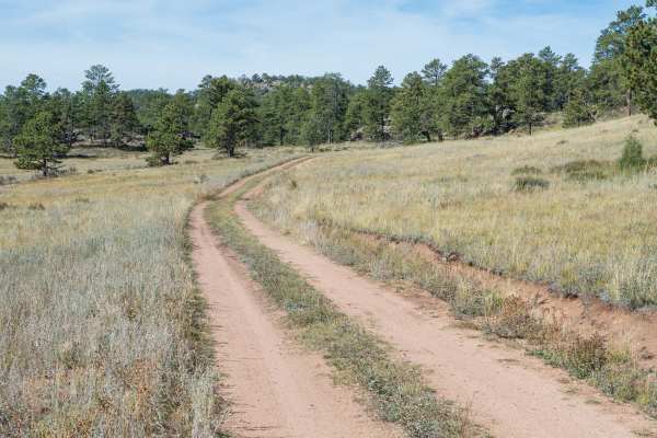 Forest Service Road 181C