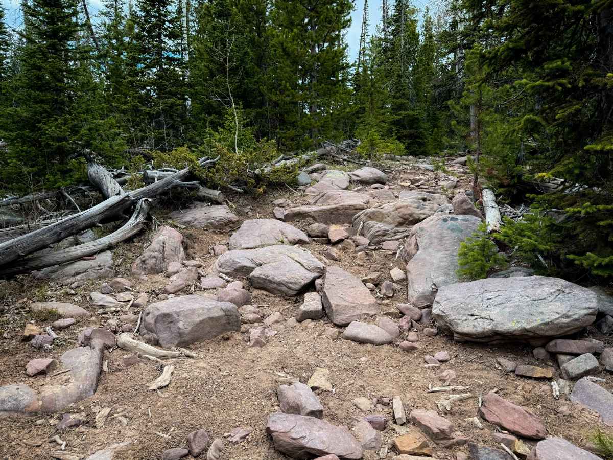 Uinta Highline #025  photo 3