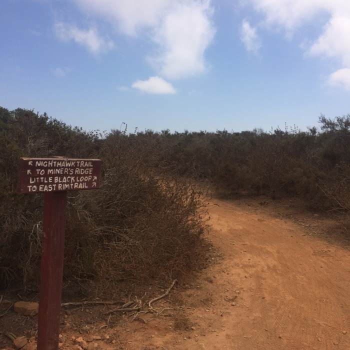 Near Nighthawk Trail