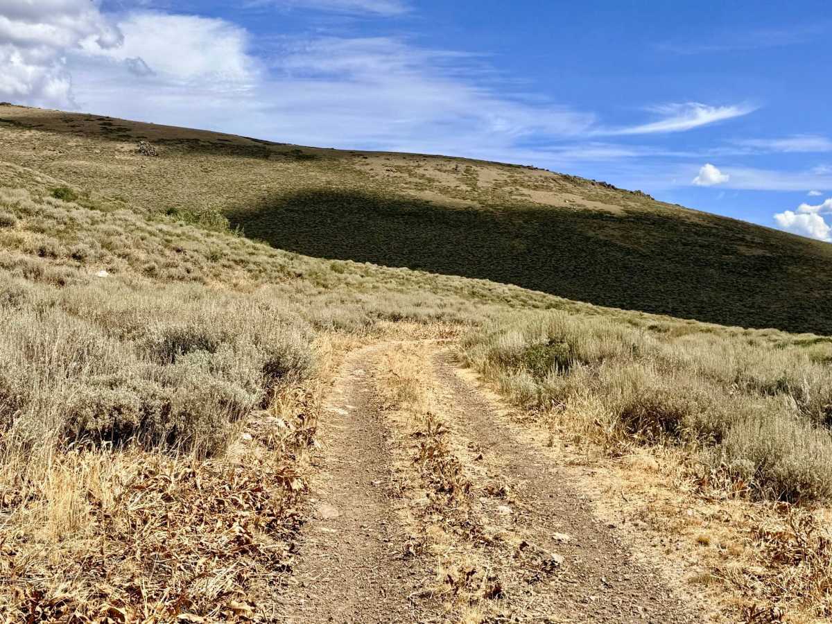 North Fork Pratt Extension - FS 56158B photo 6
