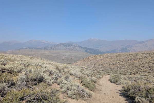 Sage Road East - FS 32066E
