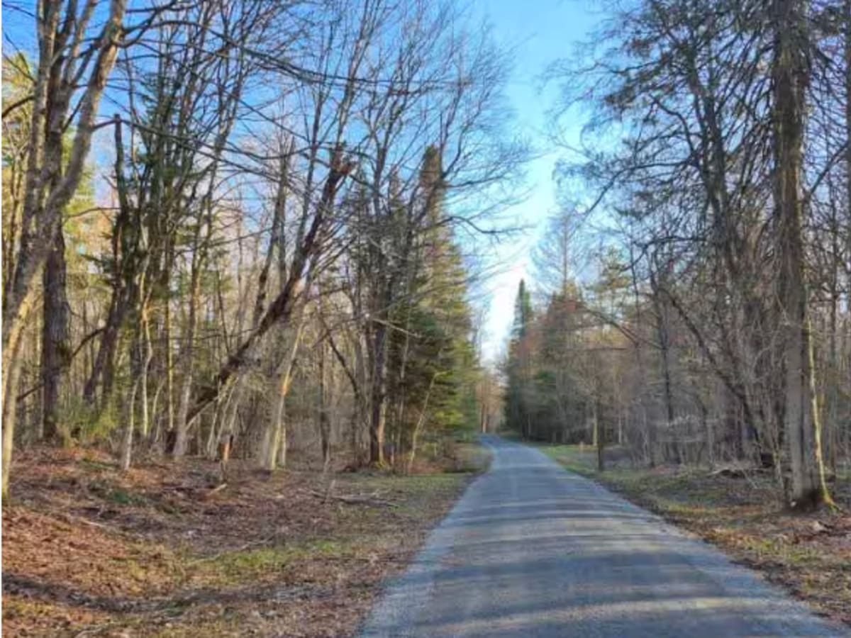 McGoldrick Truck Trail photo 3
