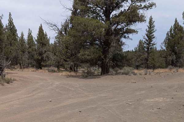Cline Buttes OHV Trail 21
