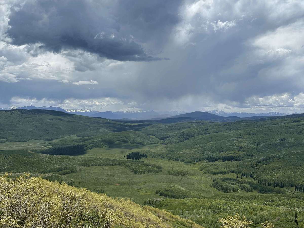 Porter Mountain - FS 534 photo 6