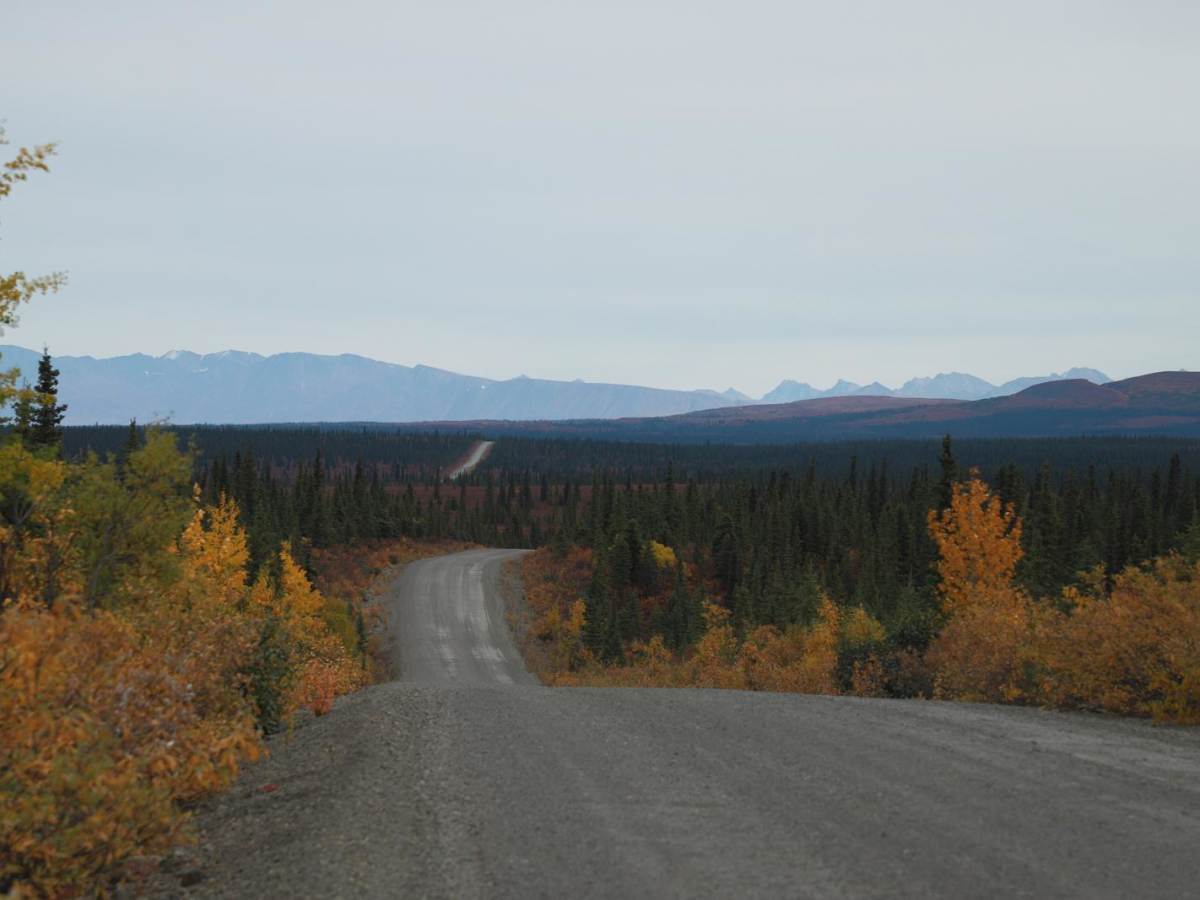 Denali Highway trail photo