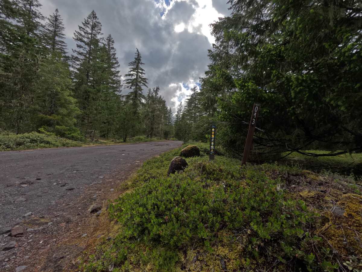 Camping Spur - FS 1825043 trail photo
