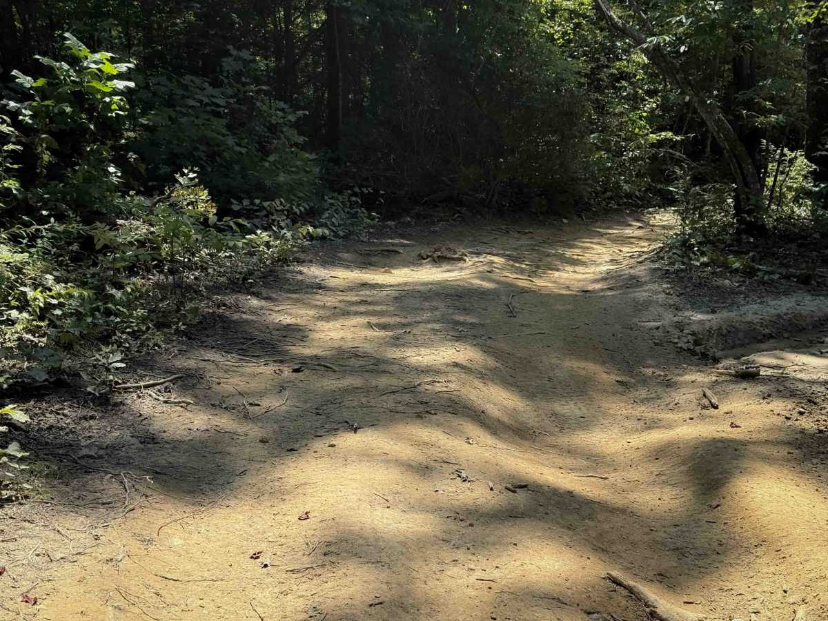 Tram Branch Trail photo 6
