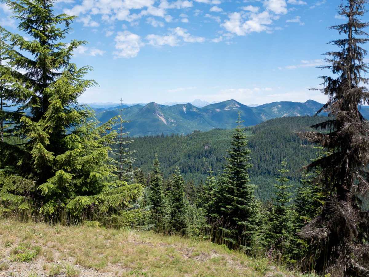 Dallas Ridge Road trail photo