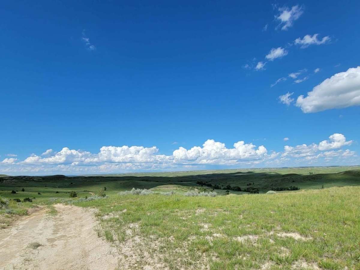 Tour of the Grasslands photo 3