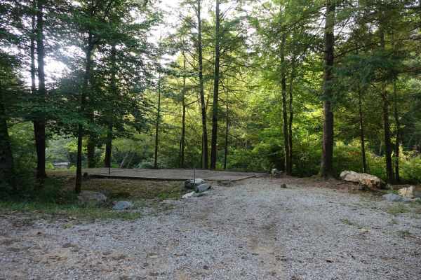 Jellico Creek Road