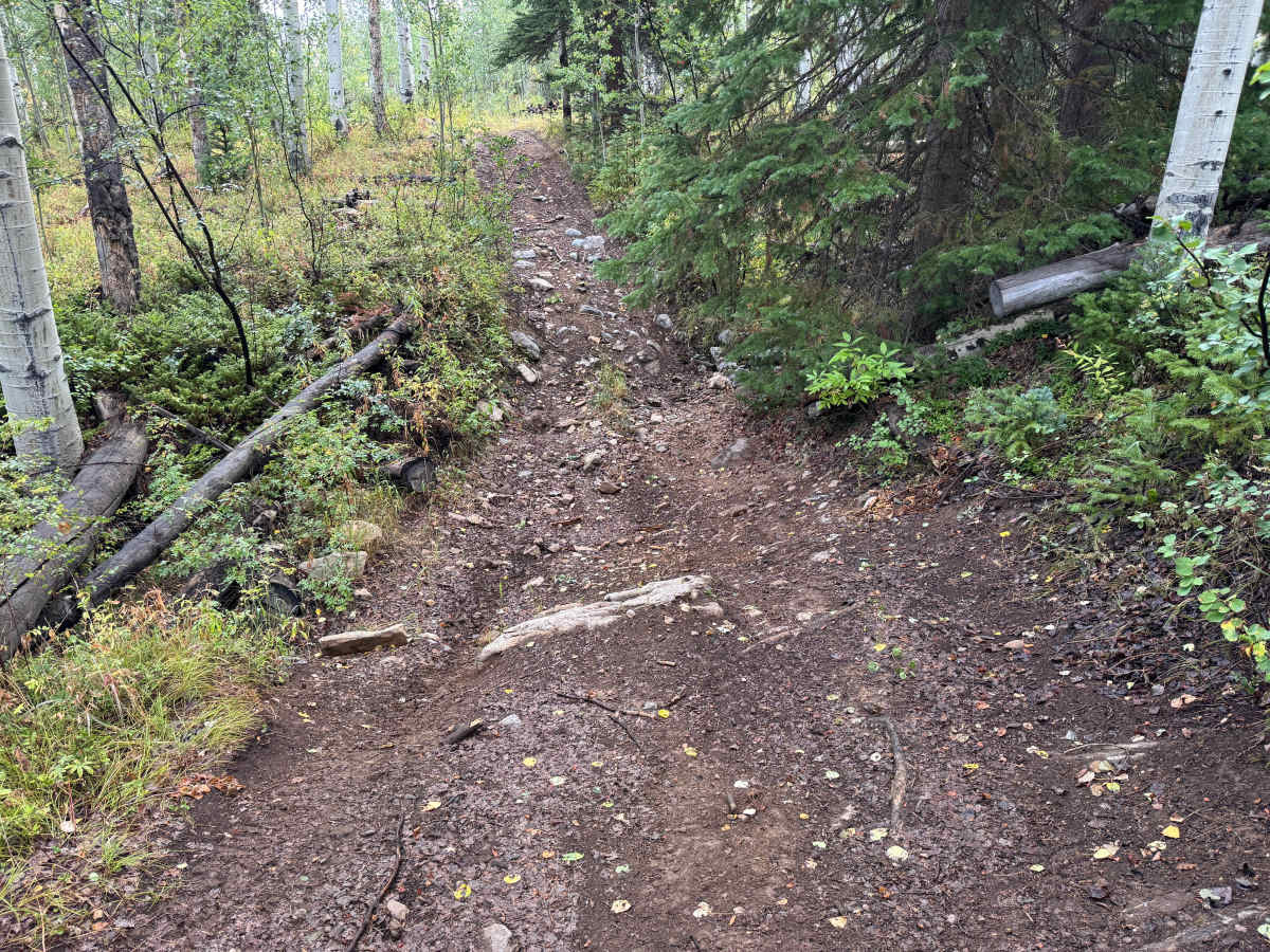 Upper Deadman Road photo 4