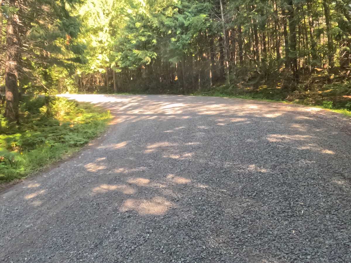 Marion Creek Road - FS 2255-000 photo 2