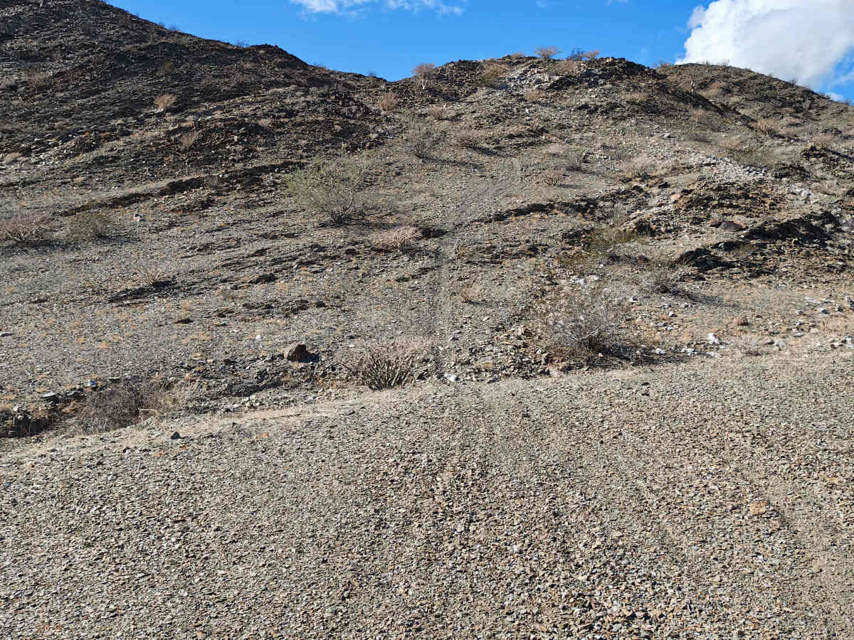 La Gringa Fun Loop - Single Track trail photo