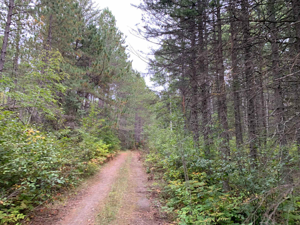 Northwest Spur B Trail - FS 373B photo 2