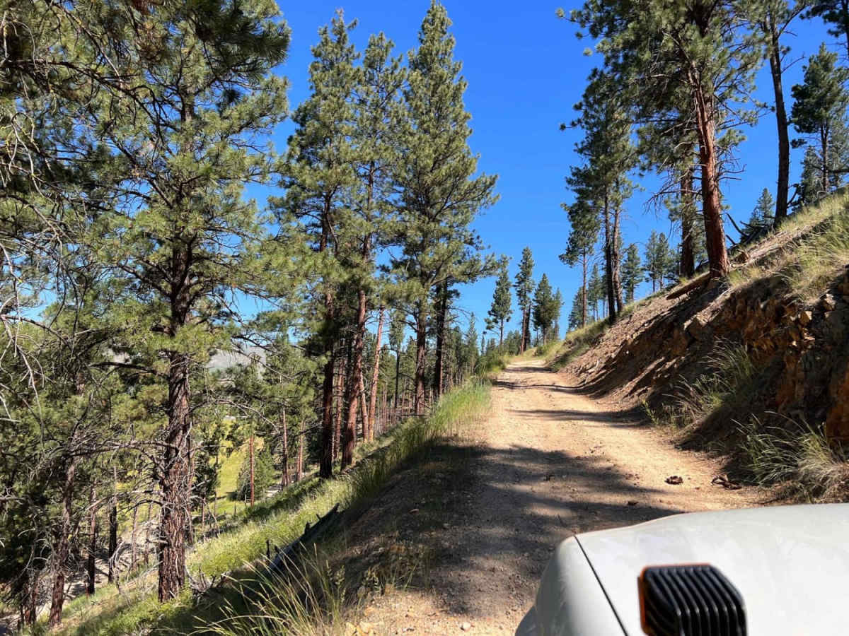 Riemel Trail/ Hiking Trailhead photo 5
