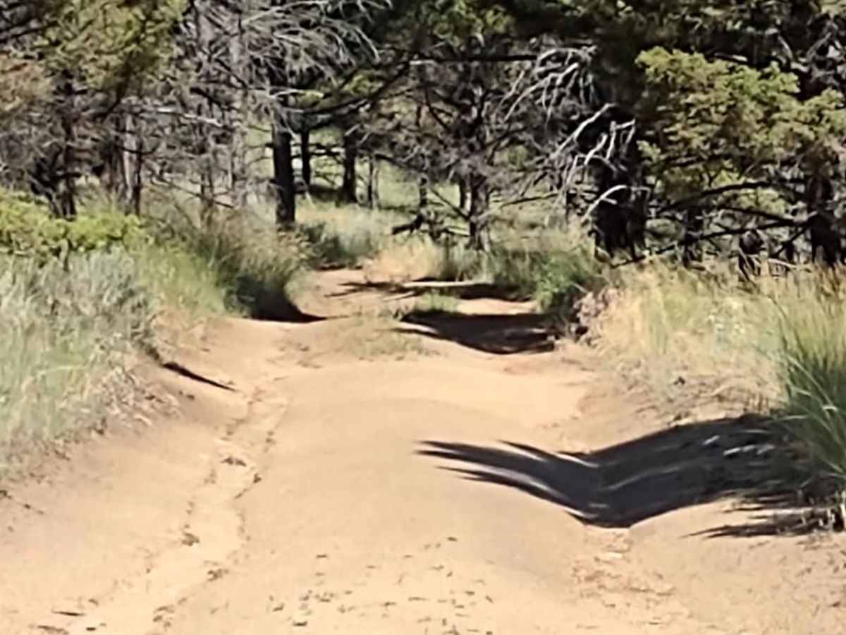High Mountain Meadows photo 3