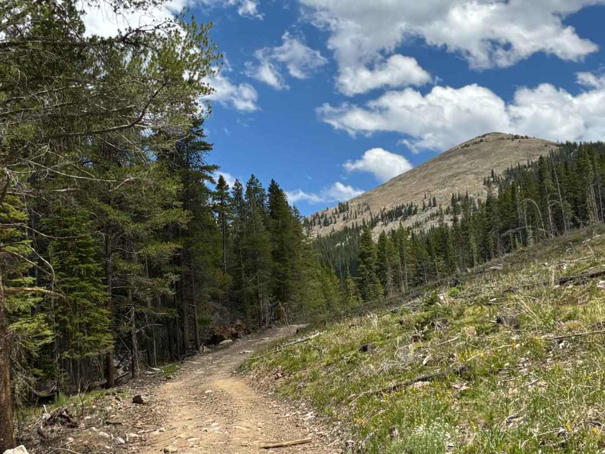 Sellar Lake Road photo 6