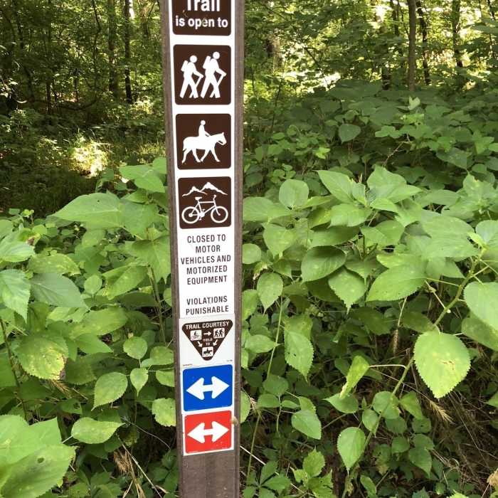 Near Inner Loop (Yellow)
