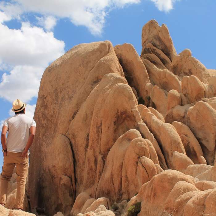 Near Arch Rock - Joshua Tree National Park. Near Arch Rock Nature Trail
