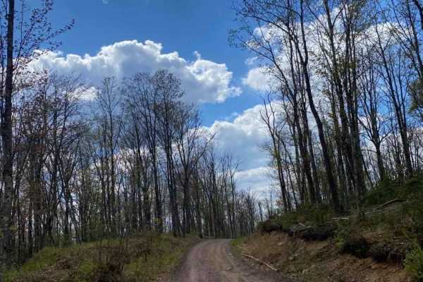 Balish Road