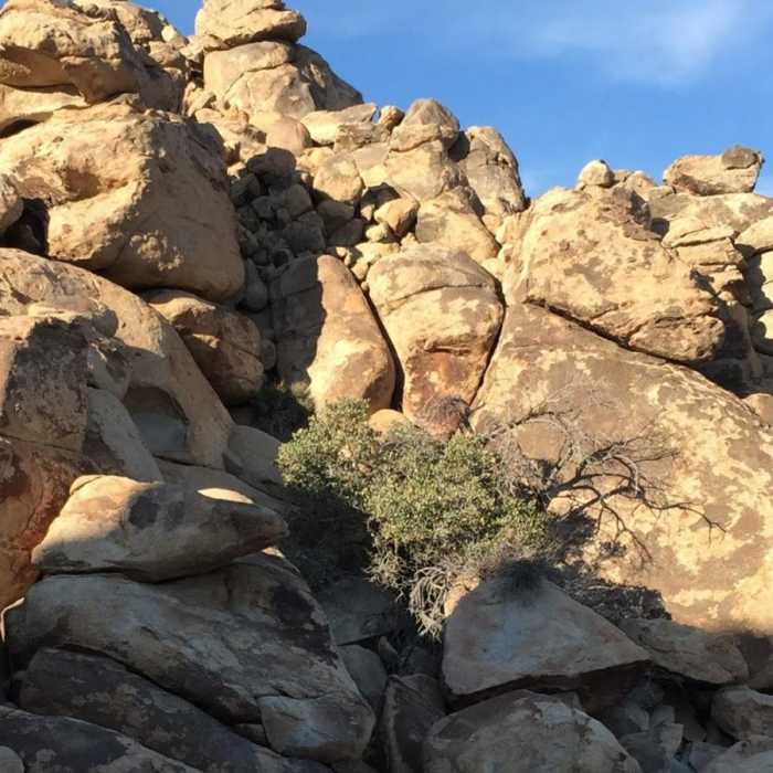 Near West Entrance to Boy Scout South