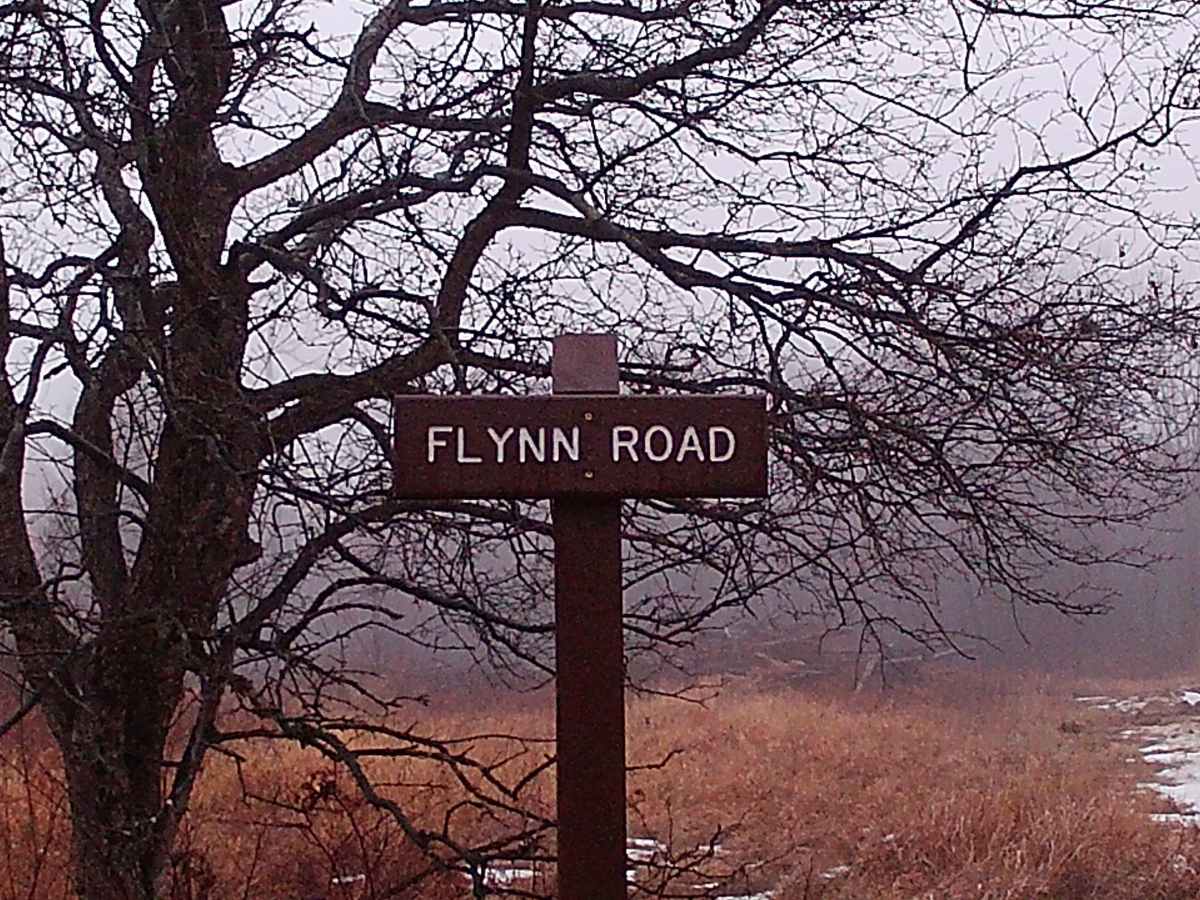 Flynn Road trail photo