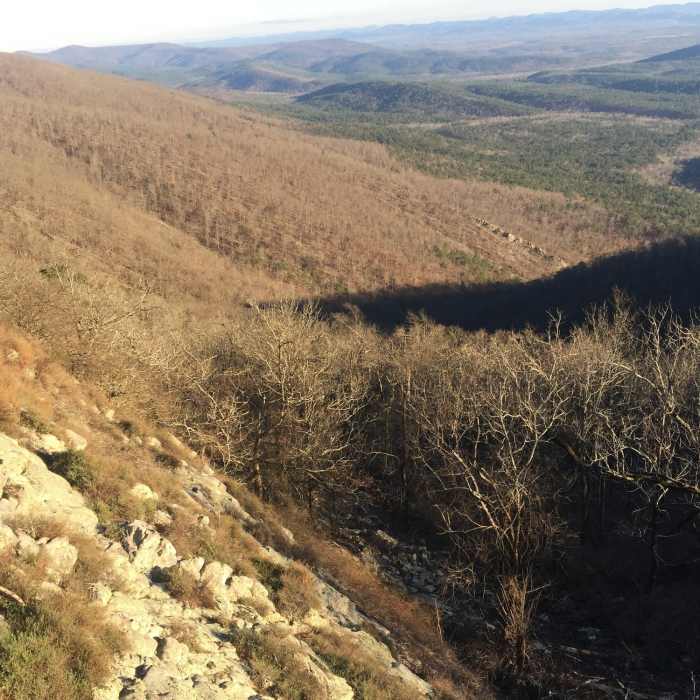 Life is rich. Near Rich Mountain Trail