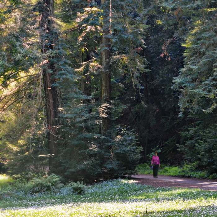 Near Sequoia Bayview Trail