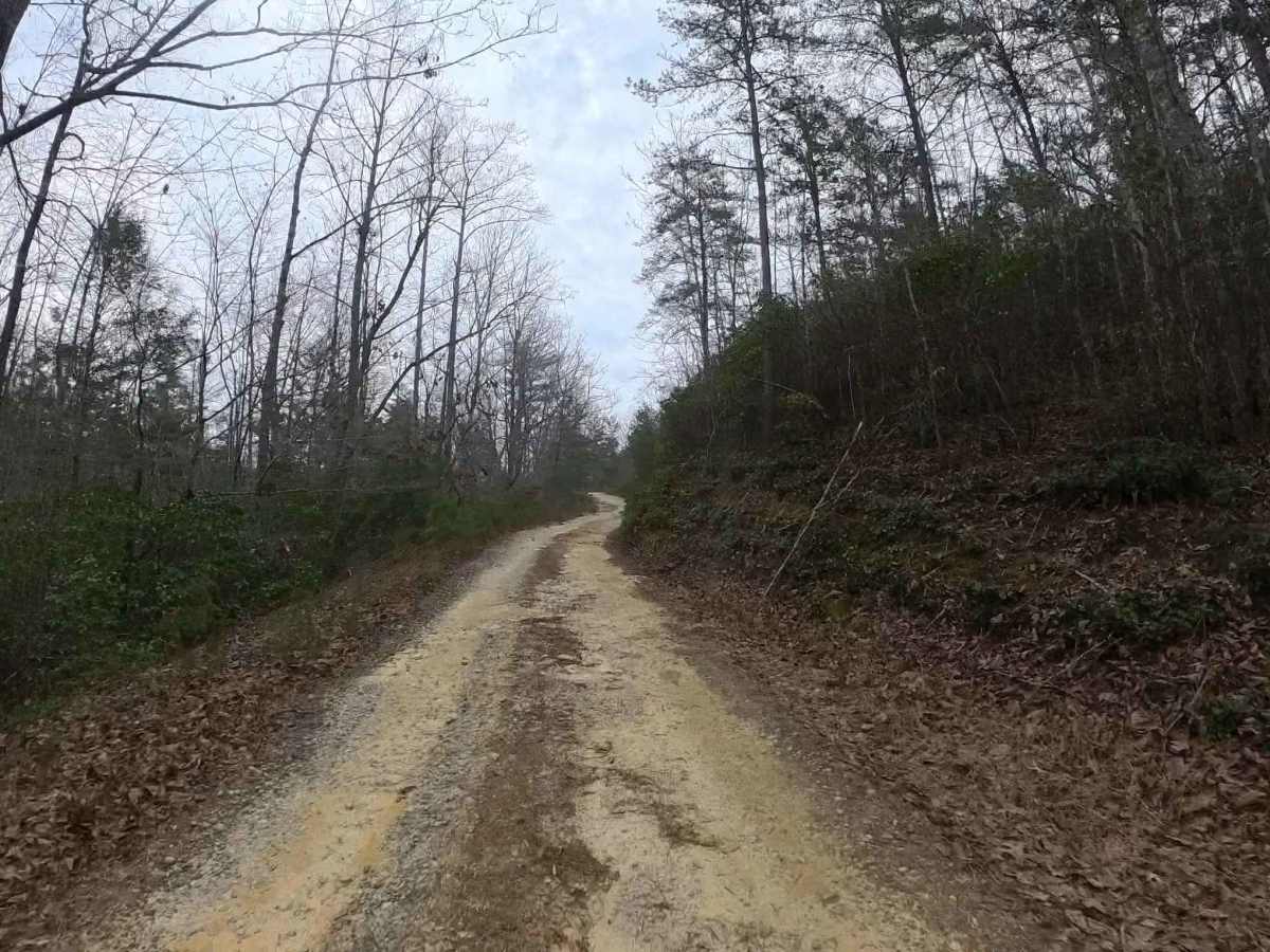 Wolf Creek Church Road - FS 515 photo 6
