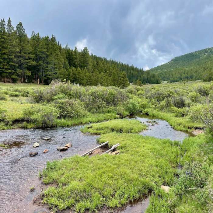 Near Colorado Trail Segment 4
