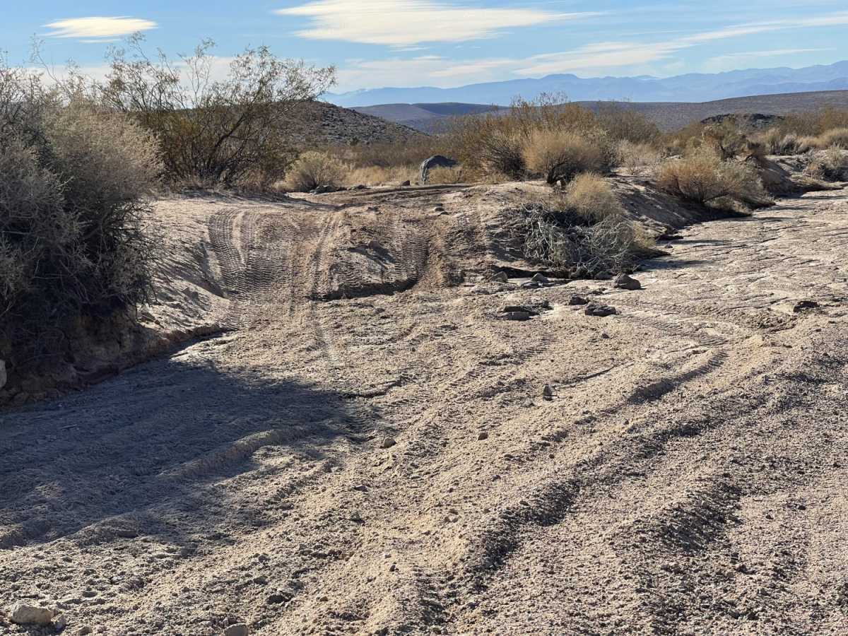 Creosote Wash photo 6