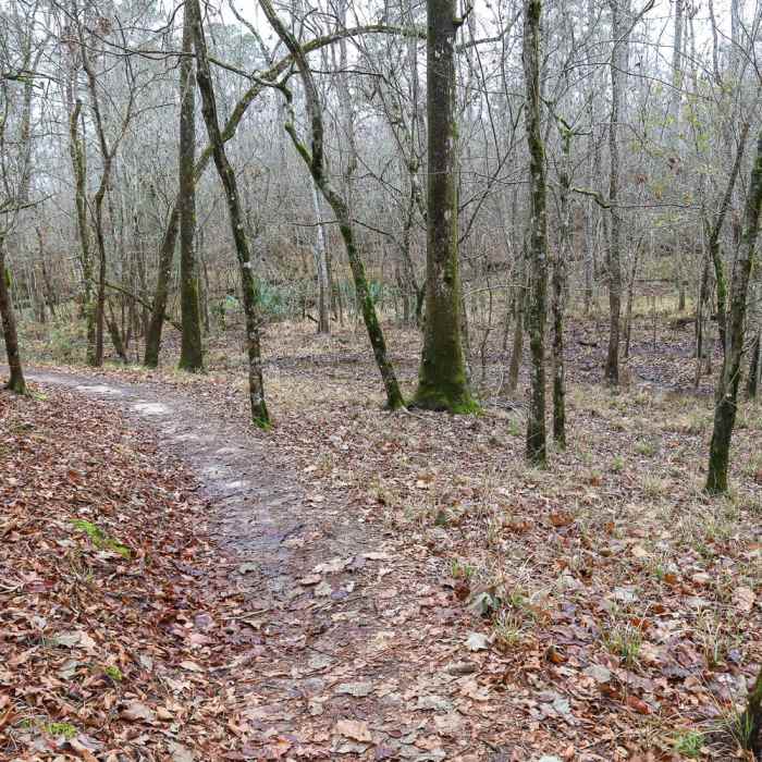 Near Stagecoach Trail