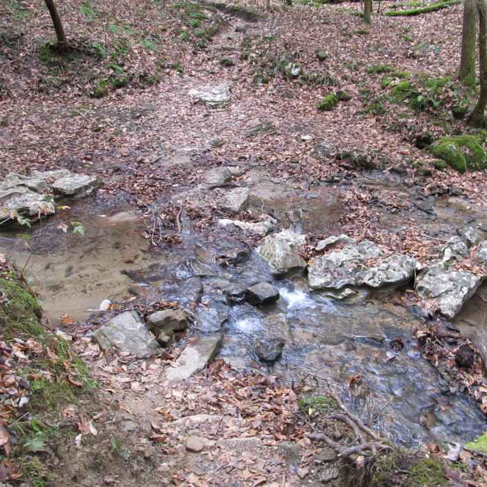 Near Courthouse Rock Trail #202
