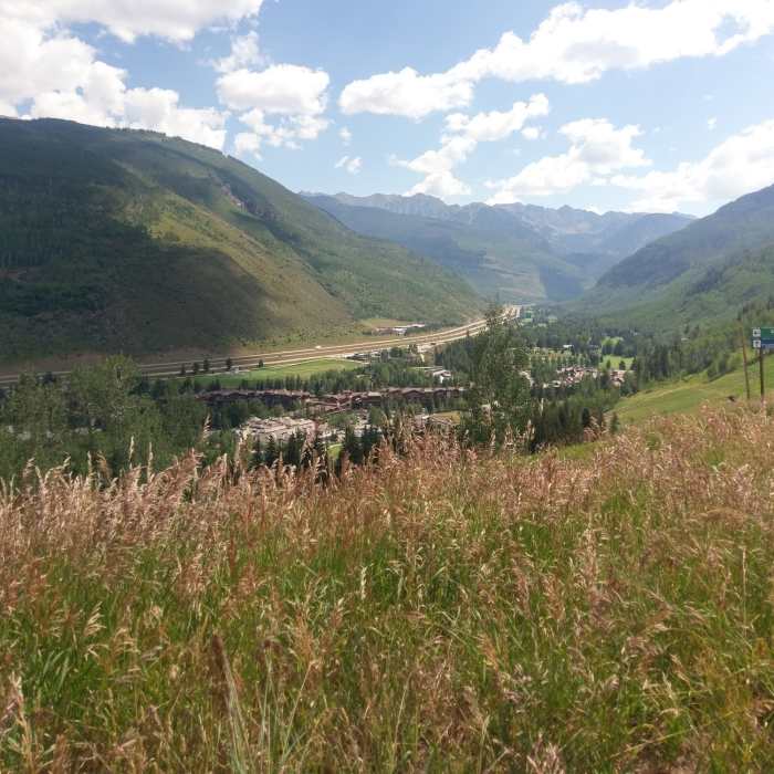 Near Strawberry Lane