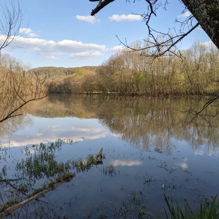 Near City Lake Natural Area