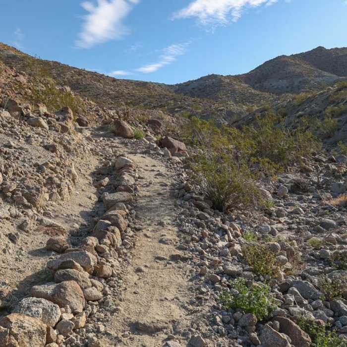 Near Randall Henderson Loop