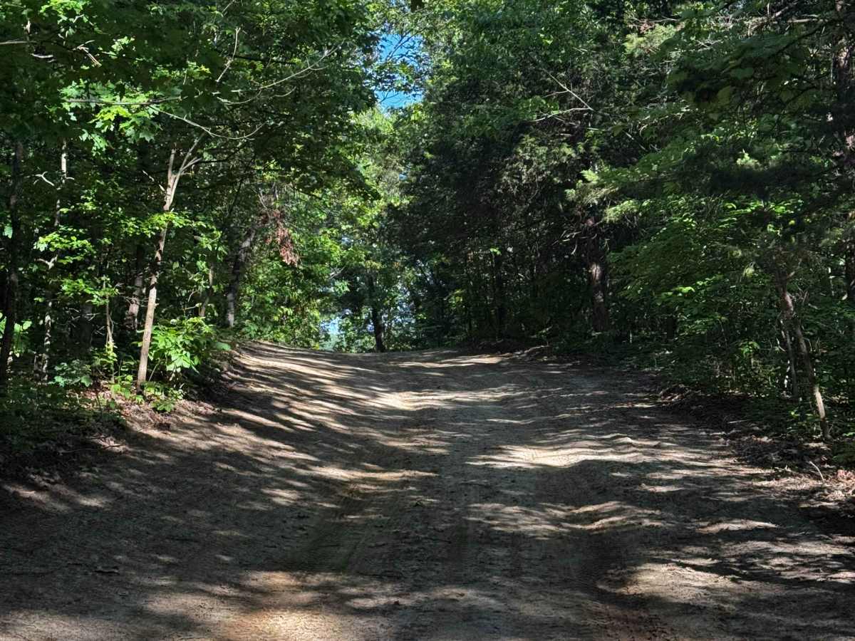 Main Vein trail photo