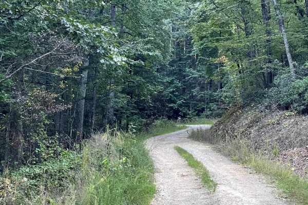Mill Creek Road