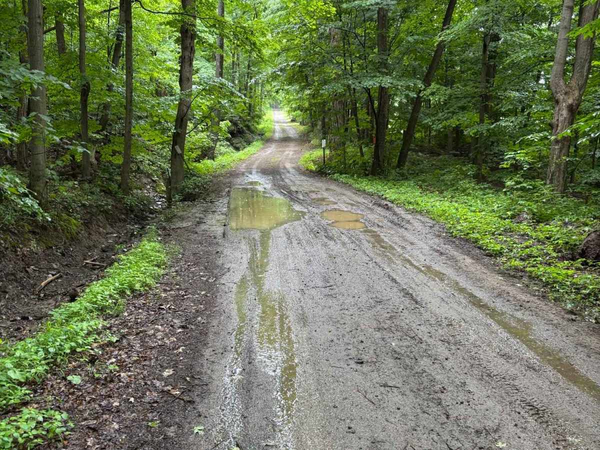 Lower Road photo 4