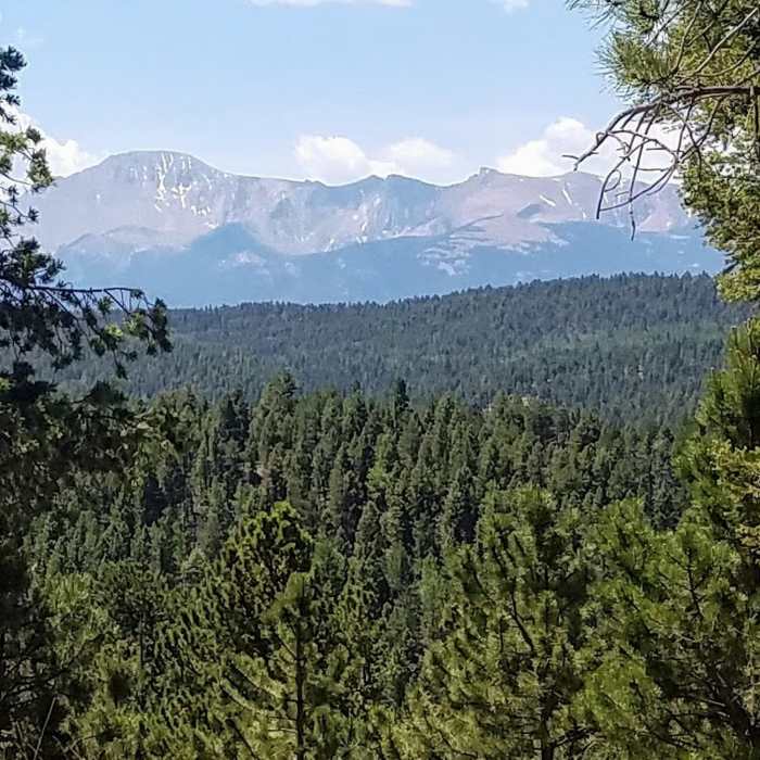 Near Lovell Gulch Trail #706