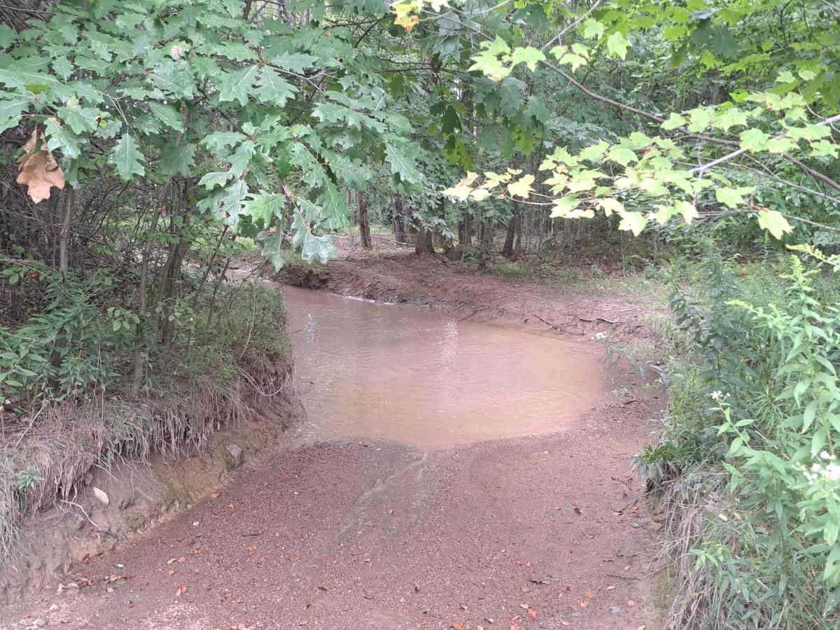 Corner Woods photo 4
