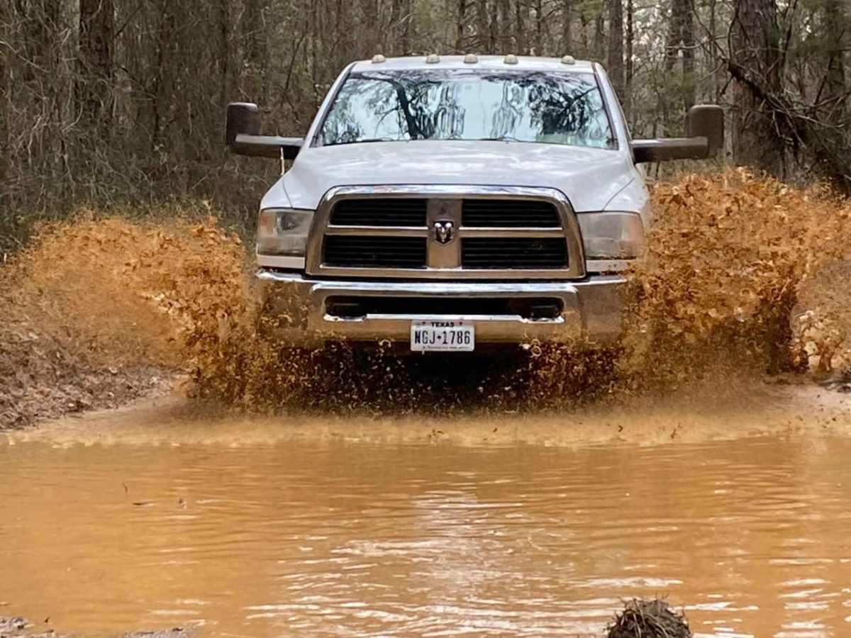 East Fork Illinois Bayou trail photo