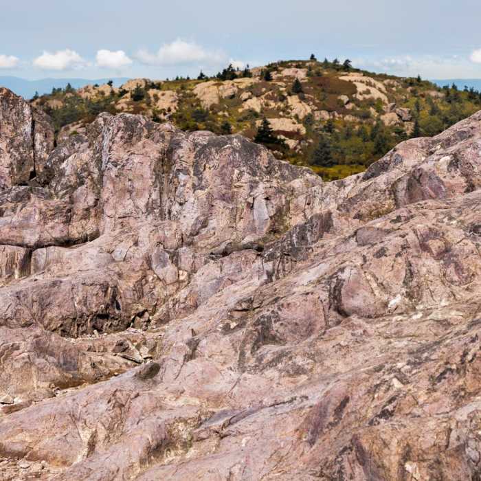 Near Grayson Highlands: A.T. - Pine Mtn Loop