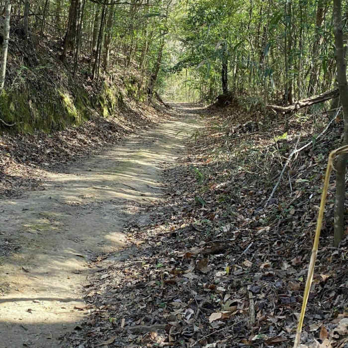 View of Tunica Hill Trail C Near C Trail