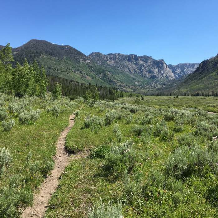 Hiking up into the valley. Near New Fork-Porcupine Trail #137