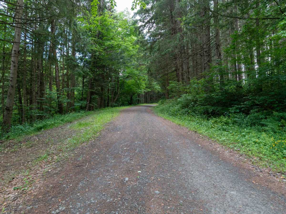 Truck Trail 6 photo 4