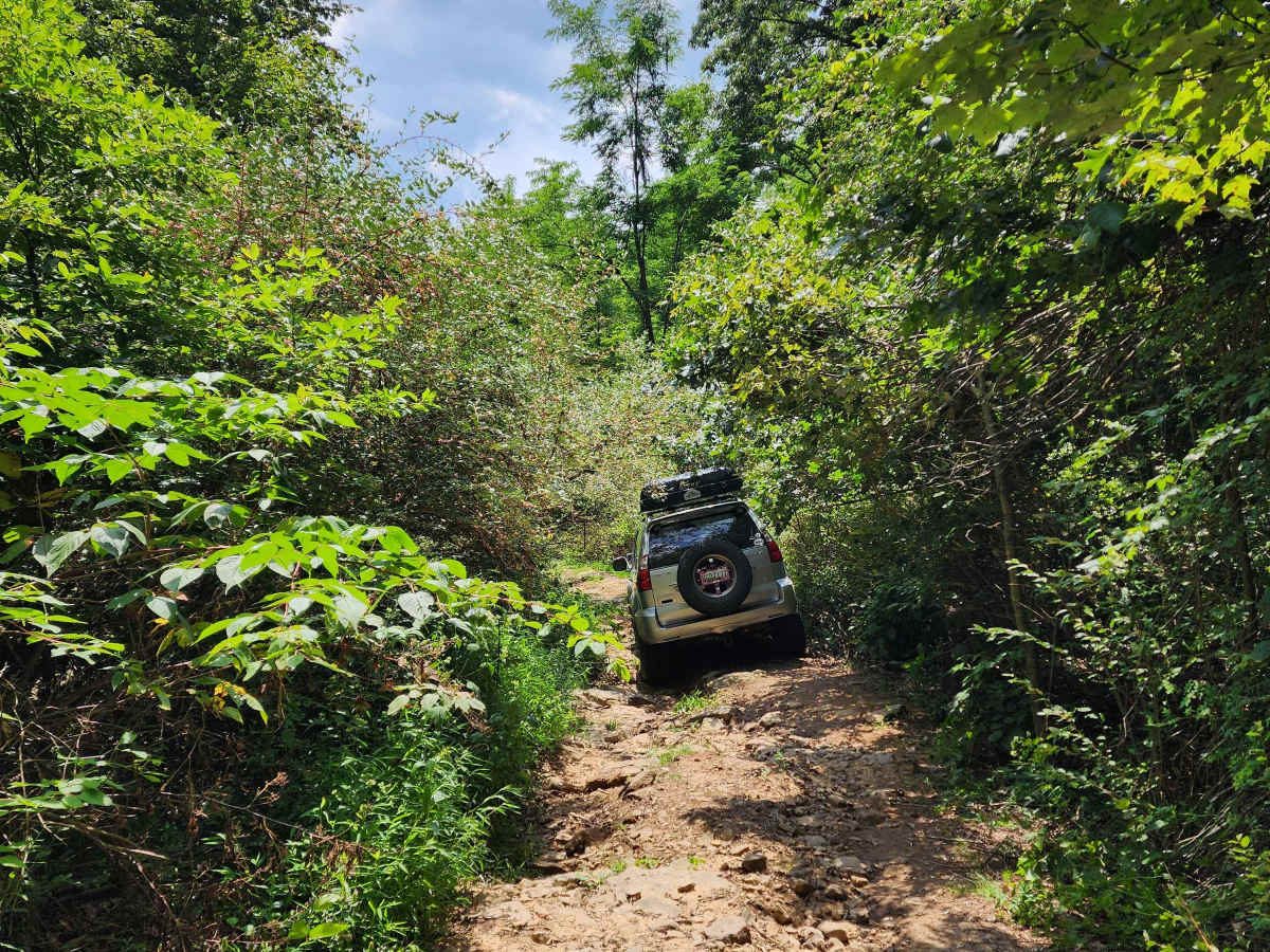 Rocky Run photo 5
