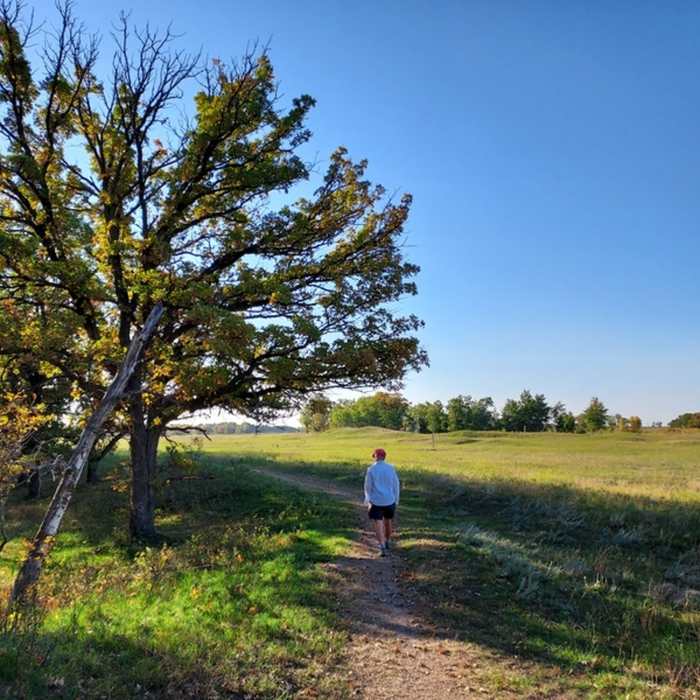 Near Oak Leaf Loop Trail