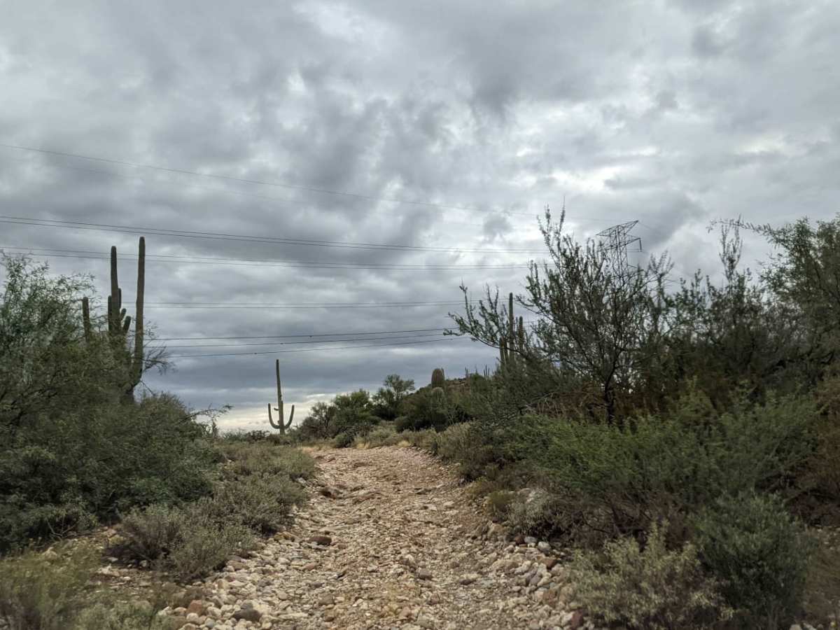 Montana Mountain Loop trail photo